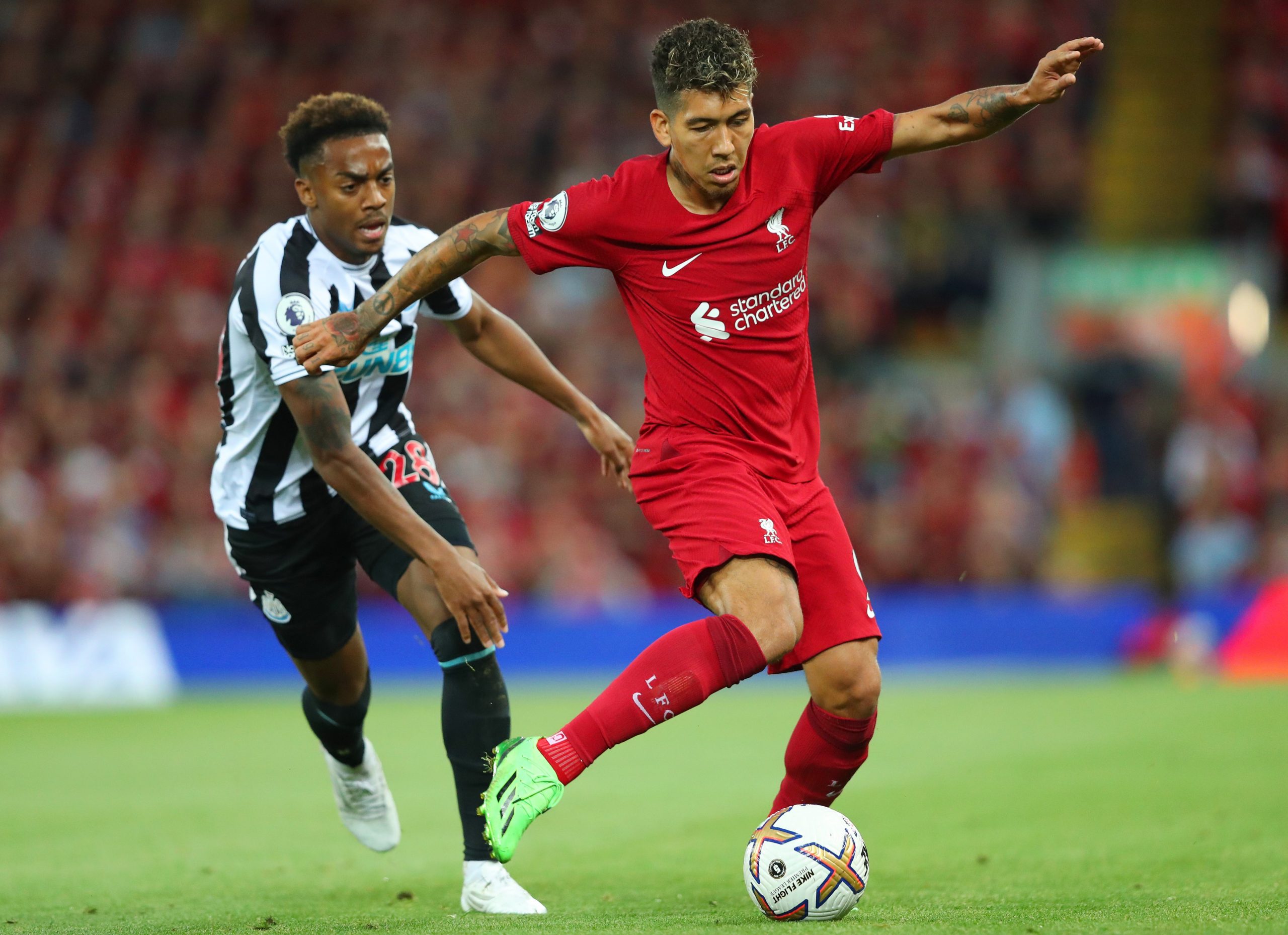 リバプール対ニューカッスル戦の結果と感想(プレミアリーグ第5節) ファビオ・カルヴァーリョが劇的決勝弾!